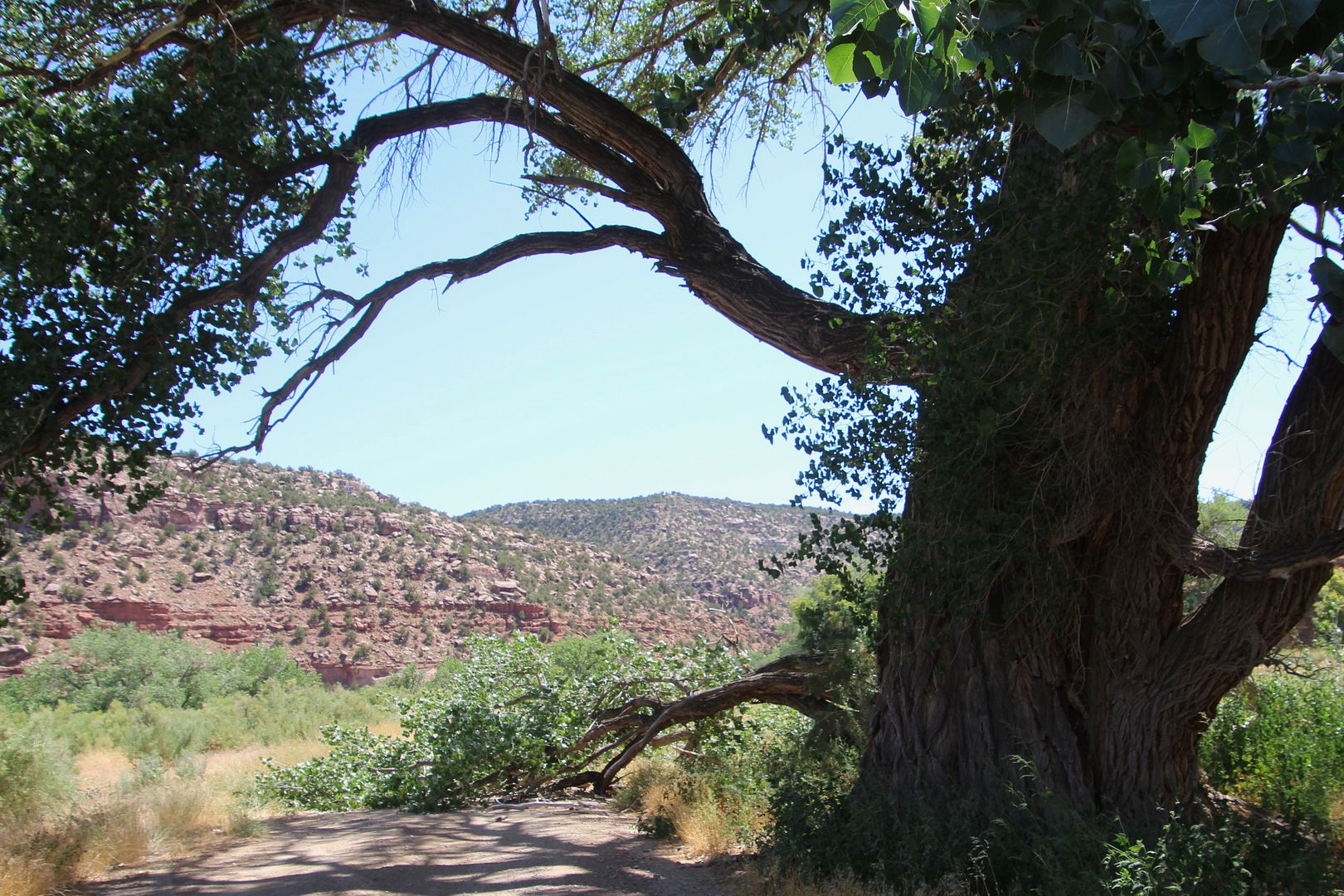 Winds of Destiny RVLife Sights along Montezuma Canyon Road, 8/31/2019